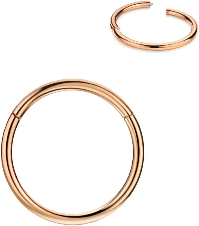 FANSING Men Women 316L Surgical Steel Hinged Nose Rings Hoop for Nostril Septum Cartilage Helix Daith Tragus Rook Conch Lip Ear Lobe Piercings