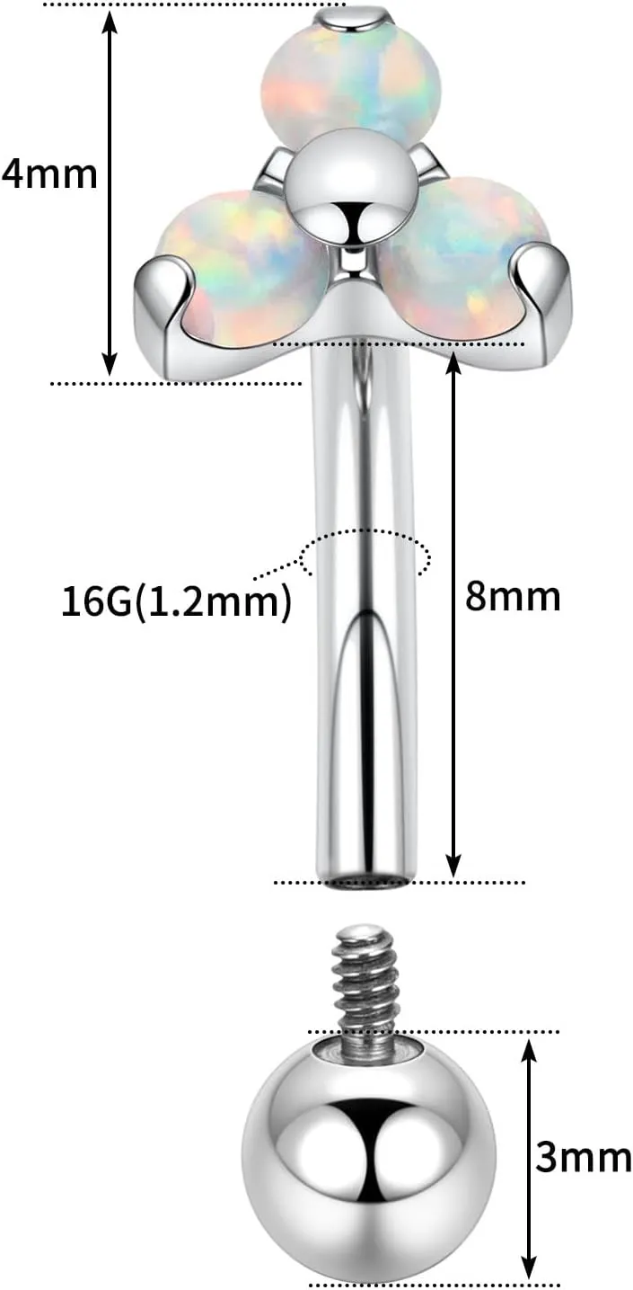 FUNLMO 2pcs Rook Daith Eyebrow Piercing Jewelry G23 Titanium Vertical Labret Lip Jewelry Rook Earring Small Belly Button Ring Curved Barbell Cartilage Earring 16G 8mm