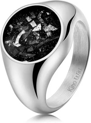 King Will Stainless Steel Ring for Men - Meteorite Inlay Matte Finished Black/Silver/Gold Plated Pinky Signet With Skull/Lion Pattern - Comfort Fit Thumb Ring Size 7-14