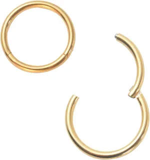 Nose Ring Septum Hoop 20G/18G/16G/14G/12G 316L Surgical Stainless Steel Hinged Seamless Earrings, Diameter 5MM-16MM, Gold/Silver/Black/Rose Gold/Rainbow Color